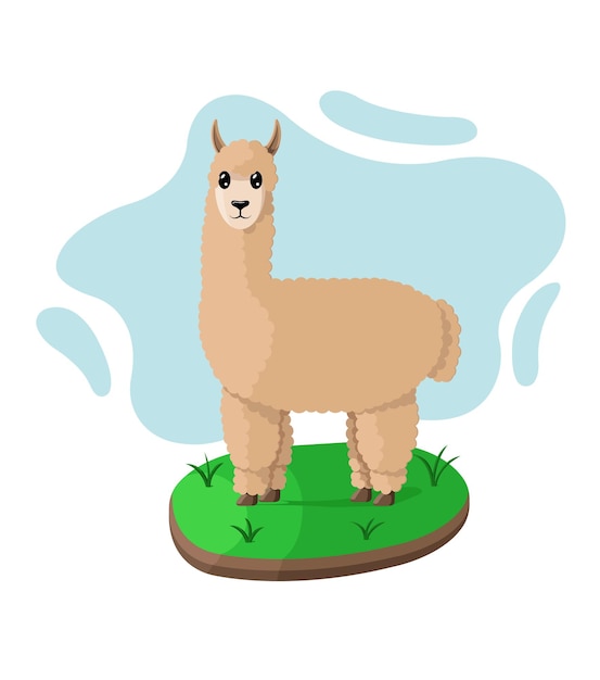 Alpaca de dibujos animados aislado sobre fondo blanco