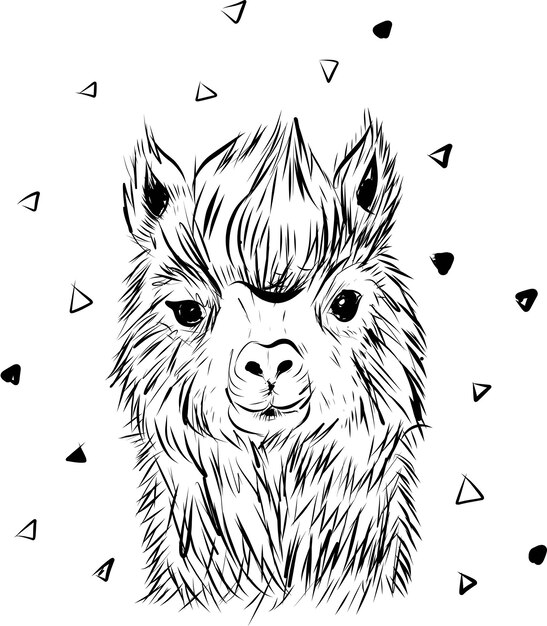 Alpaca llama animal cara retrato lama cartel tarjeta ducha fiesta cumpleaños patrón