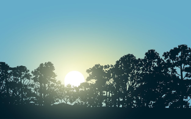 Amanecer en el bosque con silueta de árbol