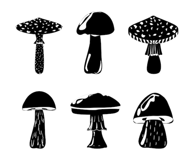 Vector amanita toadstool porcini suillus shiitake hongos comestibles hongos orgánicos bosque de trufas