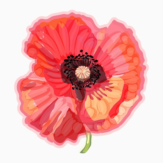 Amapola Acuarela ilustración floral Elemento decorativo floral
