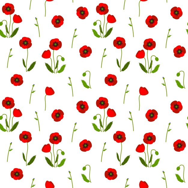 amapola, colorido, seamless, patrón