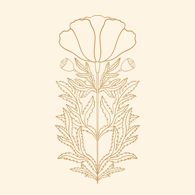 Vector amapola floral en art nouveau 1920 dibujado a mano en un estilo lineal con tejidos de líneas hojas y fl