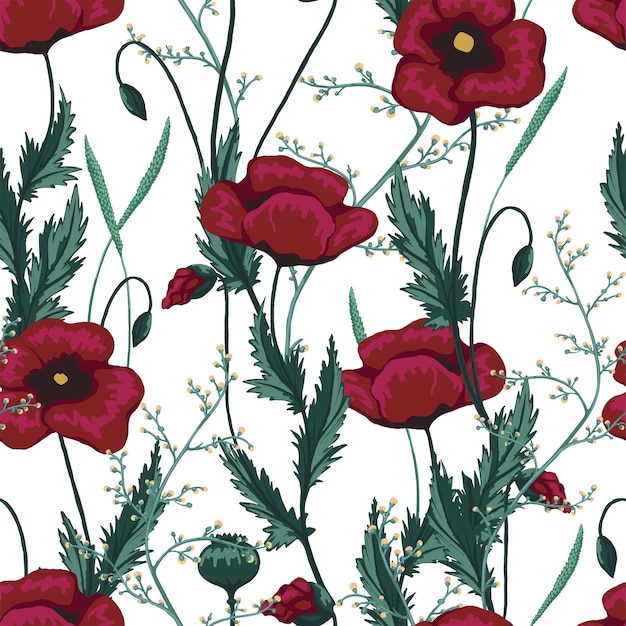Amapola, flores silvestres vector de patrones sin fisuras. Esbozos botánicos abstractos de plantas de campo. Adorno floral de época. Diseño para papel pintado, fondo, decoración, textil, envoltura.