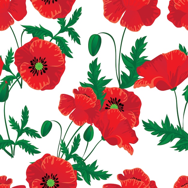Amapolas rojas sin costura