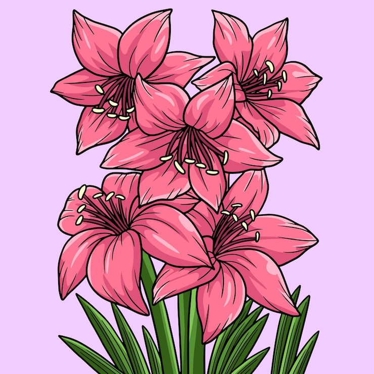 Vector amarilis flor coloreada ilustración de dibujos animados