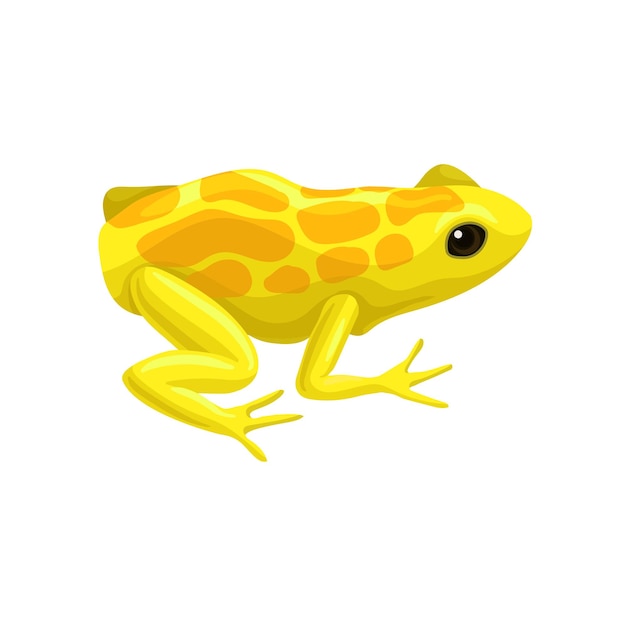 Amarillo manchado rana reptil animal vector ilustración sobre un fondo blanco