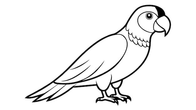Vector amazon parrot vector ilustración impresionante para sus proyectos