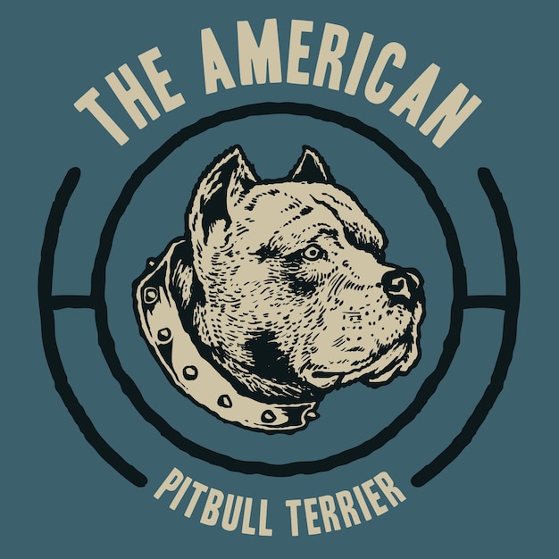 American pitbull terrier