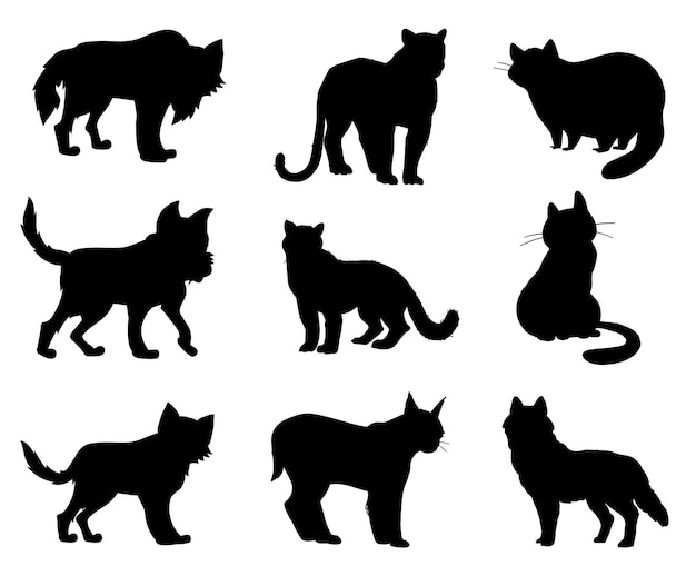 American Shorthair Cats animal Estilo plano aislado Vectores Siluetas