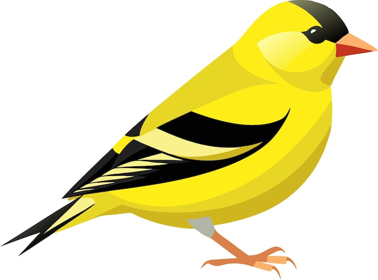 Vector americangoldfinchicon en fondo blanco pájaro amarillo aislado en fondo blanco