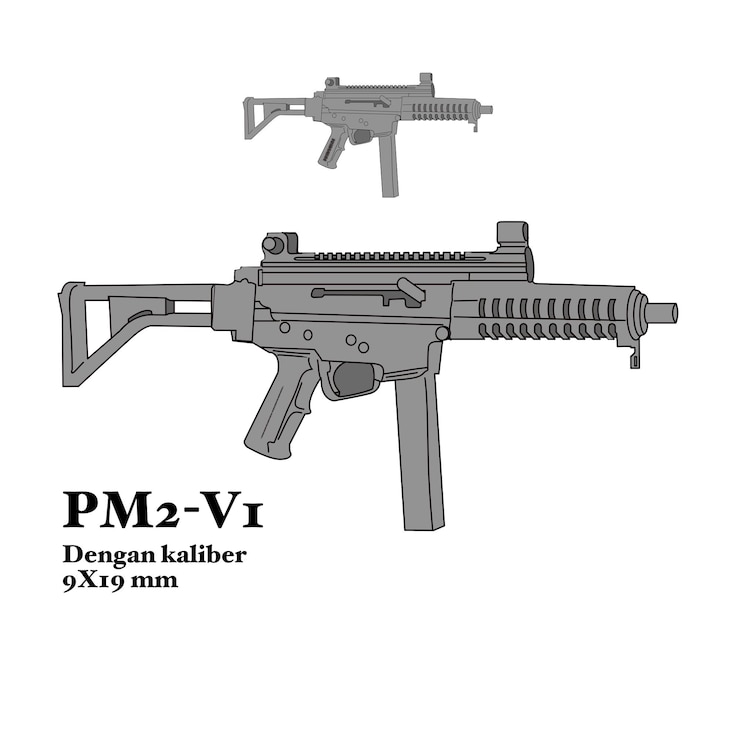 Vector una ametralladora pm2v2