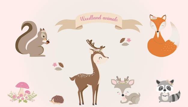 AMIGOS DE ANIMALES DEL BOSQUE LINDO