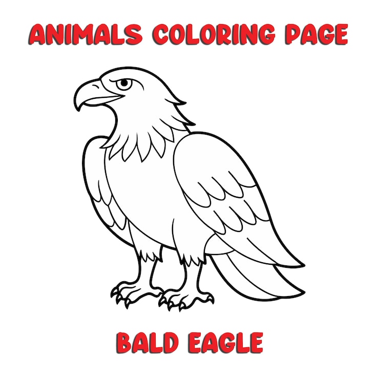 Vector amoroso águila calva contorno arte ilustración página de colorear libro para niños