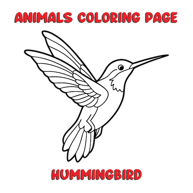Amoroso Hummingbird contorno arte ilustración página de colorear libro para niños