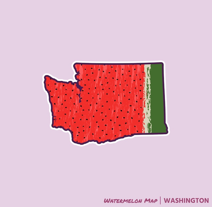 Vector añade un trozo de verano a tus proyectos con esta ilustración del mapa de la sandía de washington