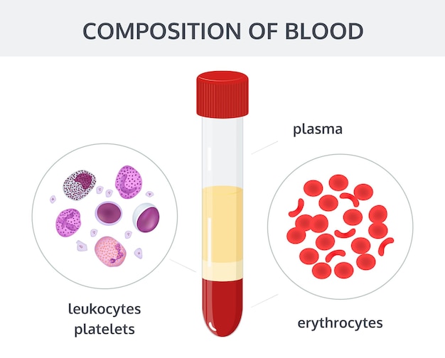 Vector análisis de sangre en tubos de ensayo y glóbulos eritrocitos leucocitos plaquetas