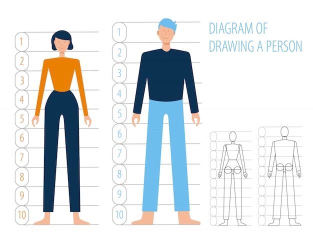 Anatomía del cuerpo humano hombre y mujer. esquema de construcción y dibujo simple plano humano, dibujos animados. estructuras corporales en pleno crecimiento.