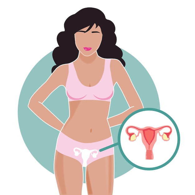 Anatomía del cuerpo de la mujer con vista del útero