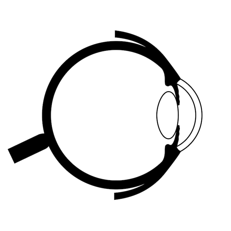 Vector anatomía del ojo estructura de la infografía del ojo humano vector médico de la retina externa y la esclera del iris
