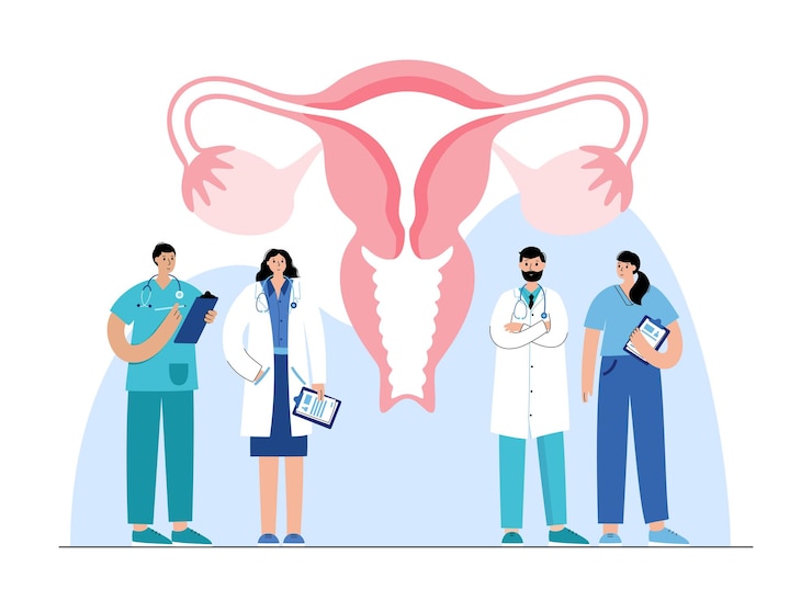 Vector anatomía del óvulo humano. fertilización, ginecología e investigación de la fecundación in vitro.