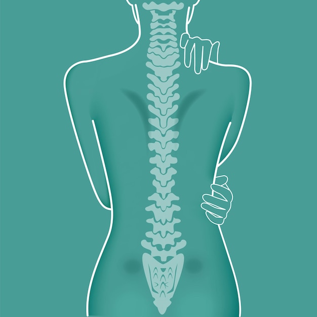 Anatomía vertebral del cuerpo de la mujer