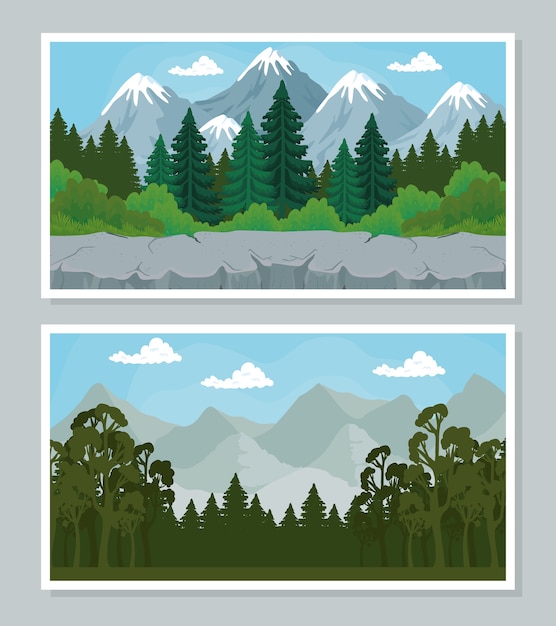 Vector andscape de pinos diseño de banners, naturaleza y exterior.