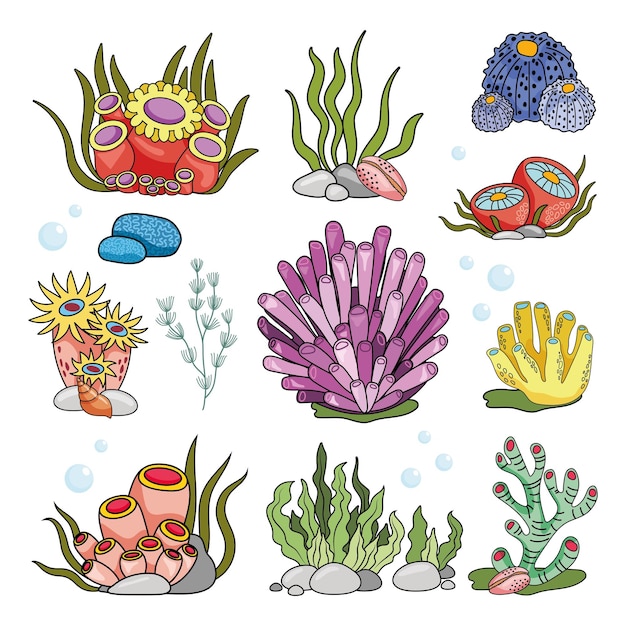 Anémona y algas en un sencillo estilo lineal en color en estilo de dibujos animados