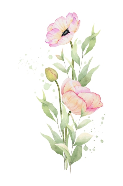 Anémona flores brotes hojas y salpicaduras ramo de flores silvestres rosadas ilustración de acuarela dibujada a mano aislada diseño floral de verano para invitaciones de boda tarjetas textiles embalaje de mercancías