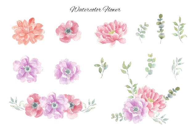 Anémona Romántica Flor Acuarela Clip Art
