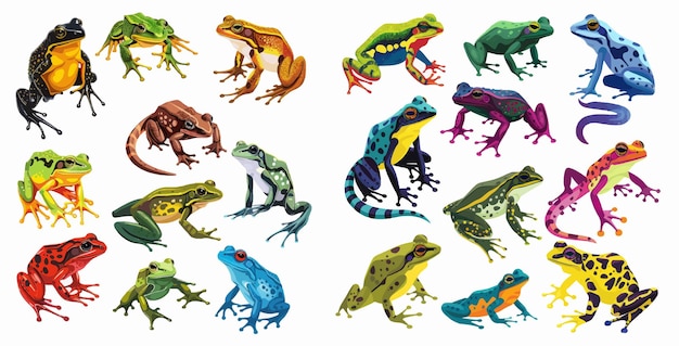 Anfíbios decorativos tropicales de colores ranas lagartos y sapos