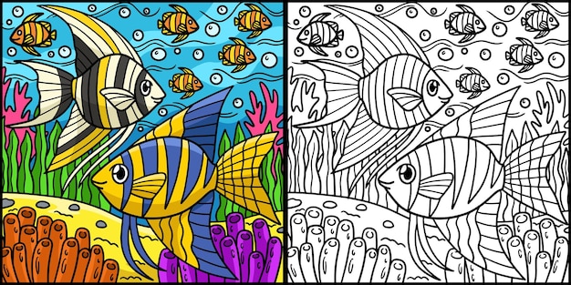 Angelfish Página Para Colorear Ilustración Coloreada