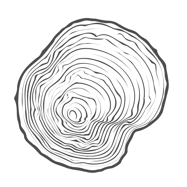 Anillo de árbol tronco de madera Círculo textura de tocón anual y círculo de topografía Contorno rebanada de madera Vector
