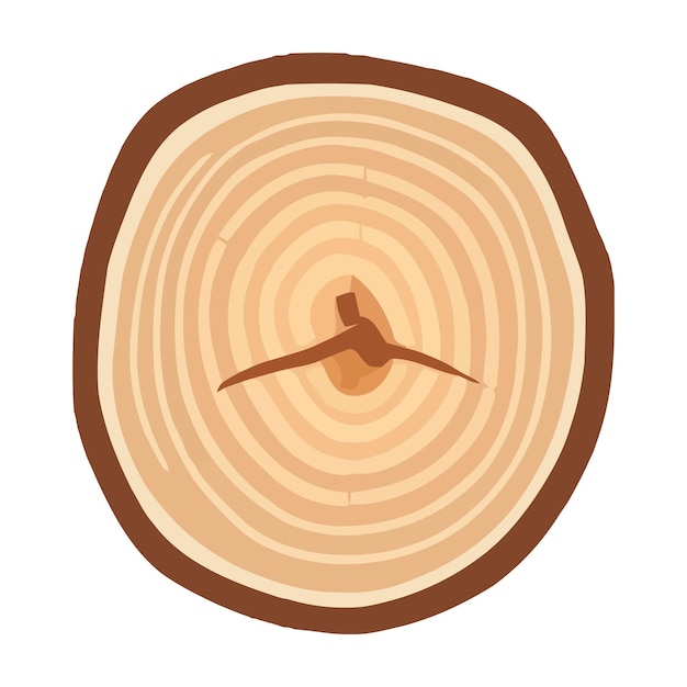 Anillo de madera de tronco de árbol Corte de rebanada de madera de sección transversal de tronco de árbol aislado sobre fondo blanco