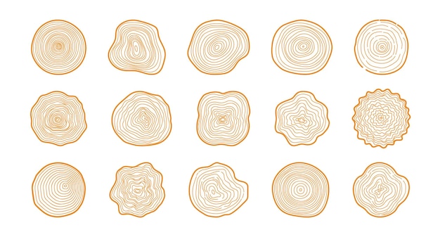 Vector anillos de árboles dibujados a mano textura de rodaja de madera abstracto círculo de edad de árbol año línea de madera circular ondulada naturaleza madera tronco fractal material de árboles orgánicos conjunto vectorial