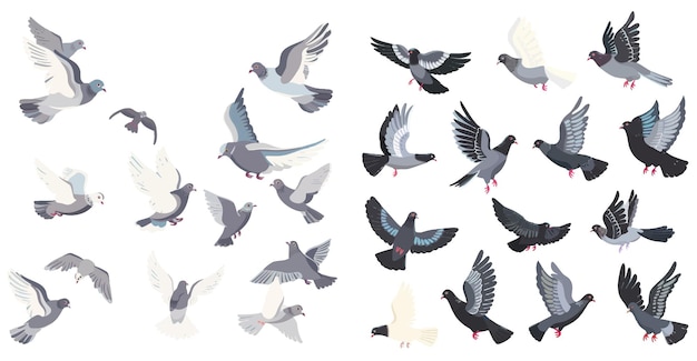 Vector la animación de las palomas