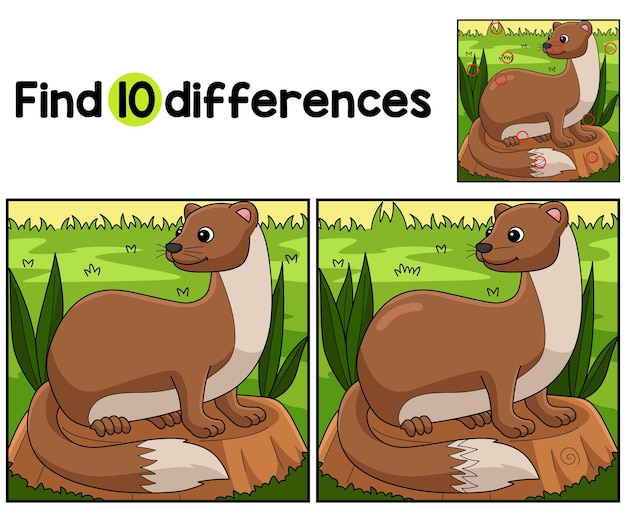 El animal comadreja encuentra las diferencias