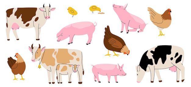 Animal de granja vacas diferentes razas cerdos y gallinas lindo dibujado a mano divertido dibujo contemporáneo ganado leche y carne de pie mamífero dibujos animados plano aislado ilustración vectorial