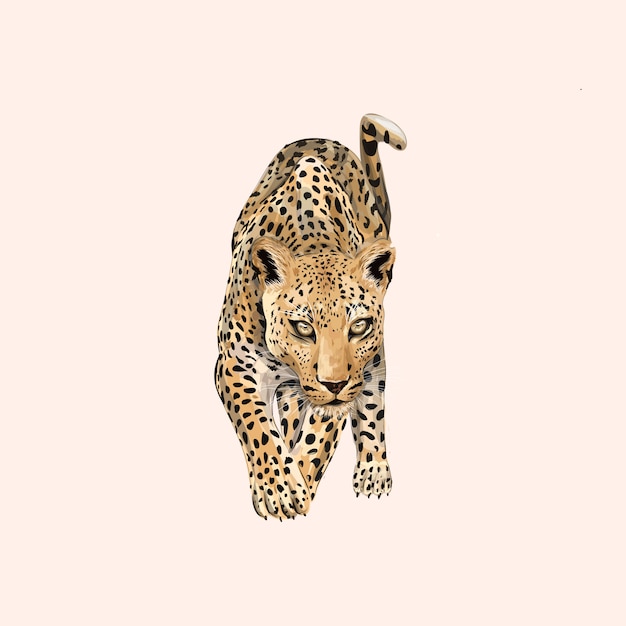 Vector animal leopardo