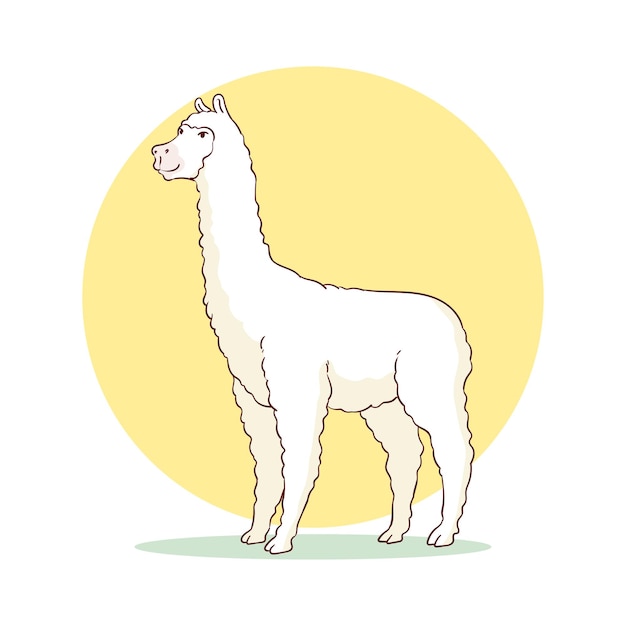 animal de llama dibujado a mano