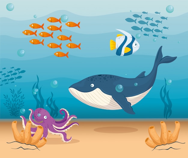 Ballena y hábitat marino