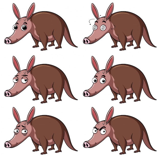 Vector animal salvaje con diferentes caras