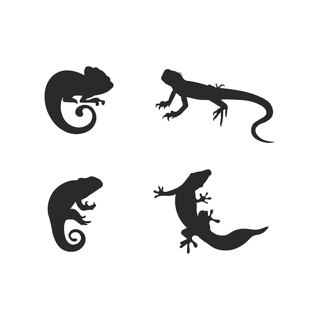 Animal vector lagarto salamandra gecko cocodrilo y reptiles logo de diseño