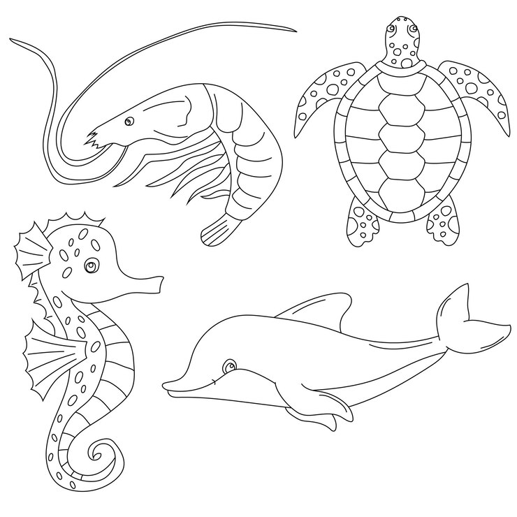 Animales acuáticos Conjunto de clipart de vida marina y criaturas oceánicas