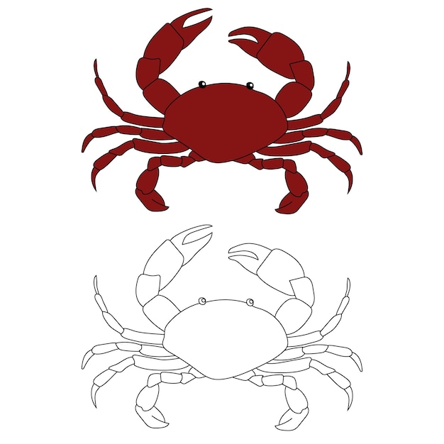 Animales acuáticos y marinos Clipart