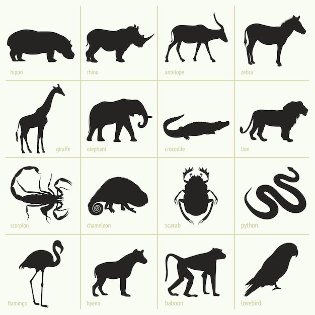 Vector animales de africa