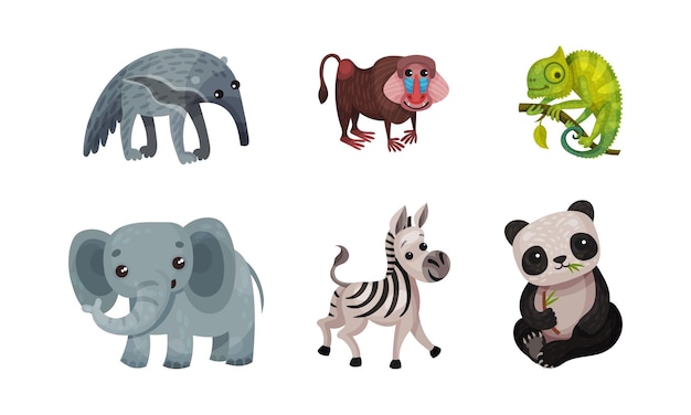 animales africanos con conjunto de vectores de elefantes y pandas