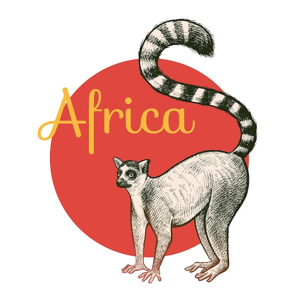 animales africanos lémur