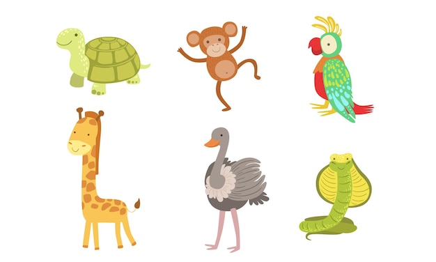 Animales africanos lindos conjunto tortuga mono loro jirafa avestruz serpiente ilustración vectorial