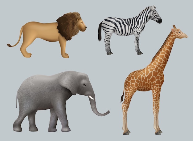 Animales africanos salvajes león elefante cebra jirafa safari viajar al aire libre colección vector decente animales realistas